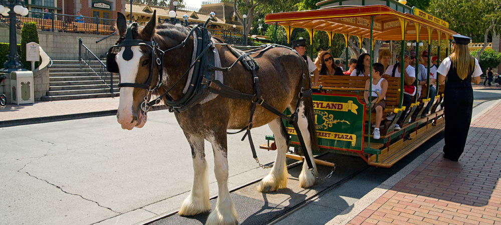 Main Street Vehicle
