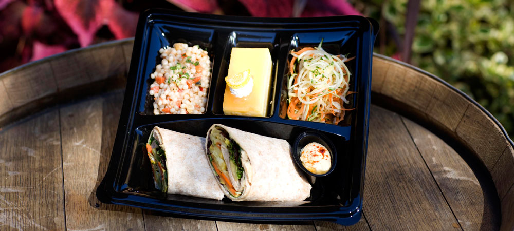World of Color Picnics