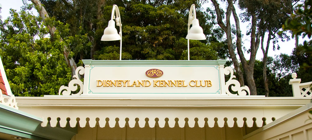 Test DLR alt image