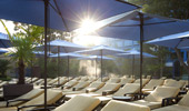 Rows of lounges beneath sun umbrellas. 