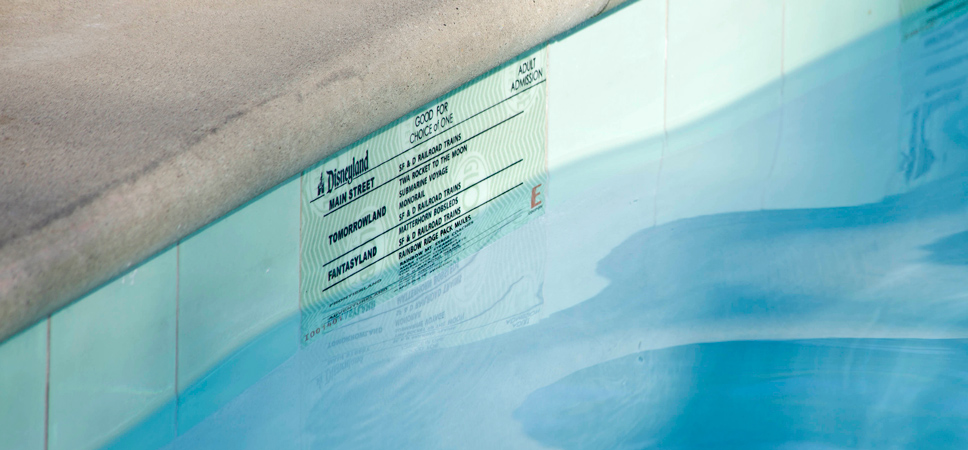 Close up on a large E-Ticket at the water's surface beneath the pool's edge.