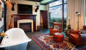 Claw-foot bathtub near a large window.