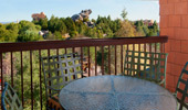 View from the balcony where the attraction's icon can be see over the treetops.