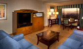 Plush couches face a large console with television, microwave and bar items.