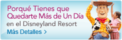 Porque Tienes que Quedarte Mas de Un Dia at the Disneyland Resort