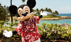 The Heart of Hawai'i
